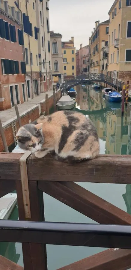 Magic Casanova Flat In The Heart Of Venice Apartment